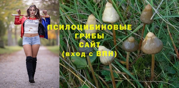 соль курить ск Горно-Алтайск