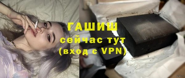 амф Гусь-Хрустальный