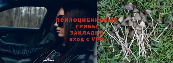 соль курить ск Горно-Алтайск