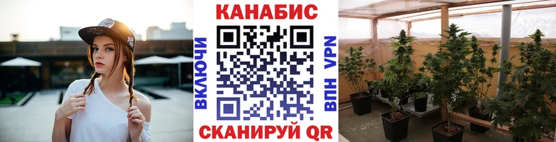 Купить закладки  Корсаков  Канабис гибрид 